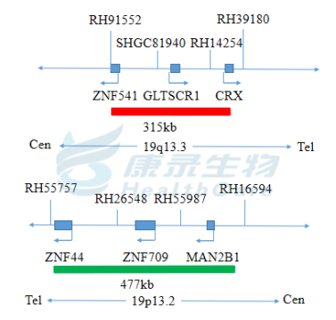 中国·拉斯维加斯(3499·官方认证)网站-Officialwebsite